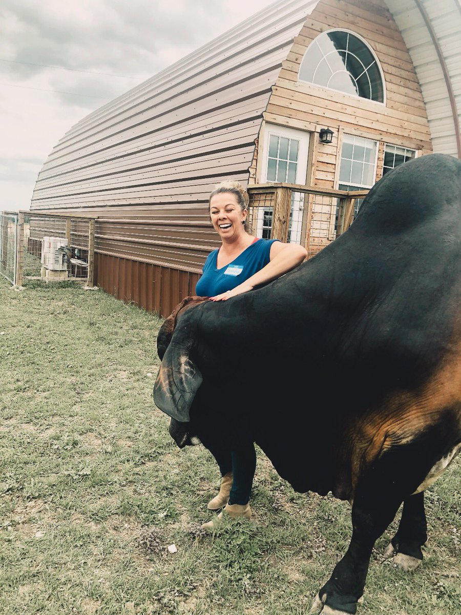 TenishaGGraham4's tweet photo. Today I snuggled/connected with horses...and a bull that I had never met! It was incredible, I loved every minute of this training and great company!💜👏  Thank you MFISD and Spirit Reins! @MarbleFallsISD https://t.co/v3wQhFj91u