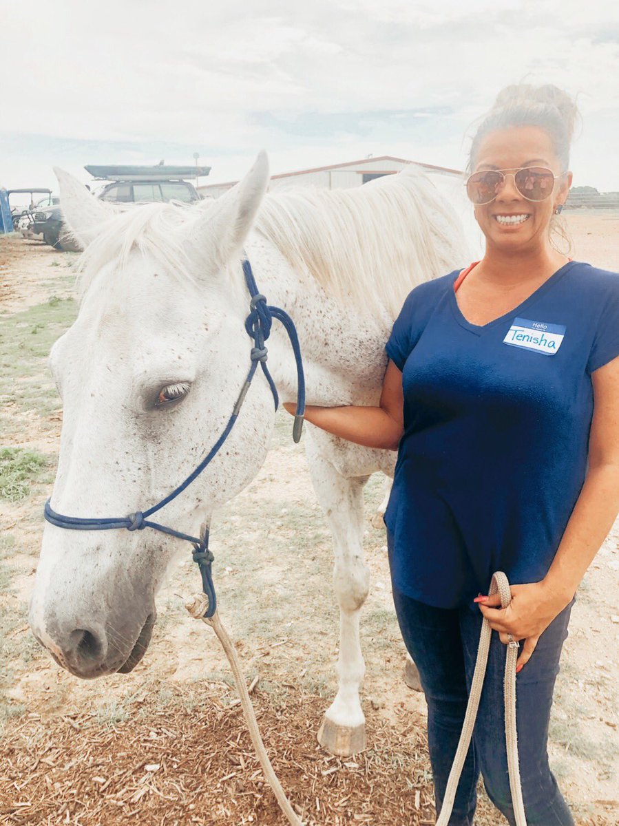 TenishaGGraham4's tweet photo. Today I snuggled/connected with horses...and a bull that I had never met! It was incredible, I loved every minute of this training and great company!💜👏  Thank you MFISD and Spirit Reins! @MarbleFallsISD https://t.co/v3wQhFj91u