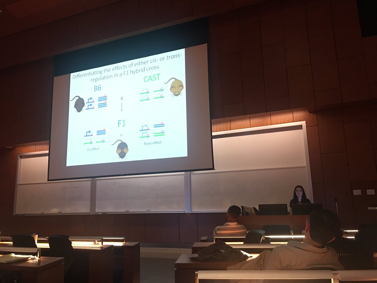 ClementYChow's tweet photo. @Chowlab student NIkki Russell giving a great talk at #ctcsd! https://t.co/WfWglyEOpc