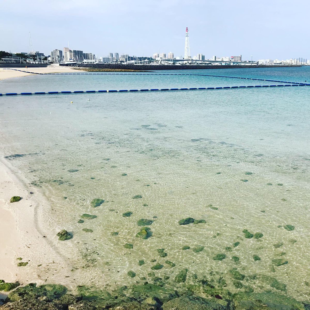 宿無し 宿無し
