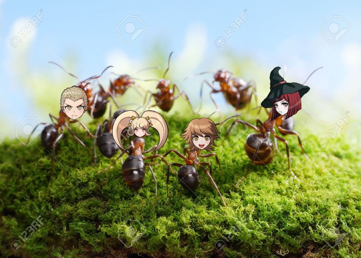 what you ants look like to me right now.