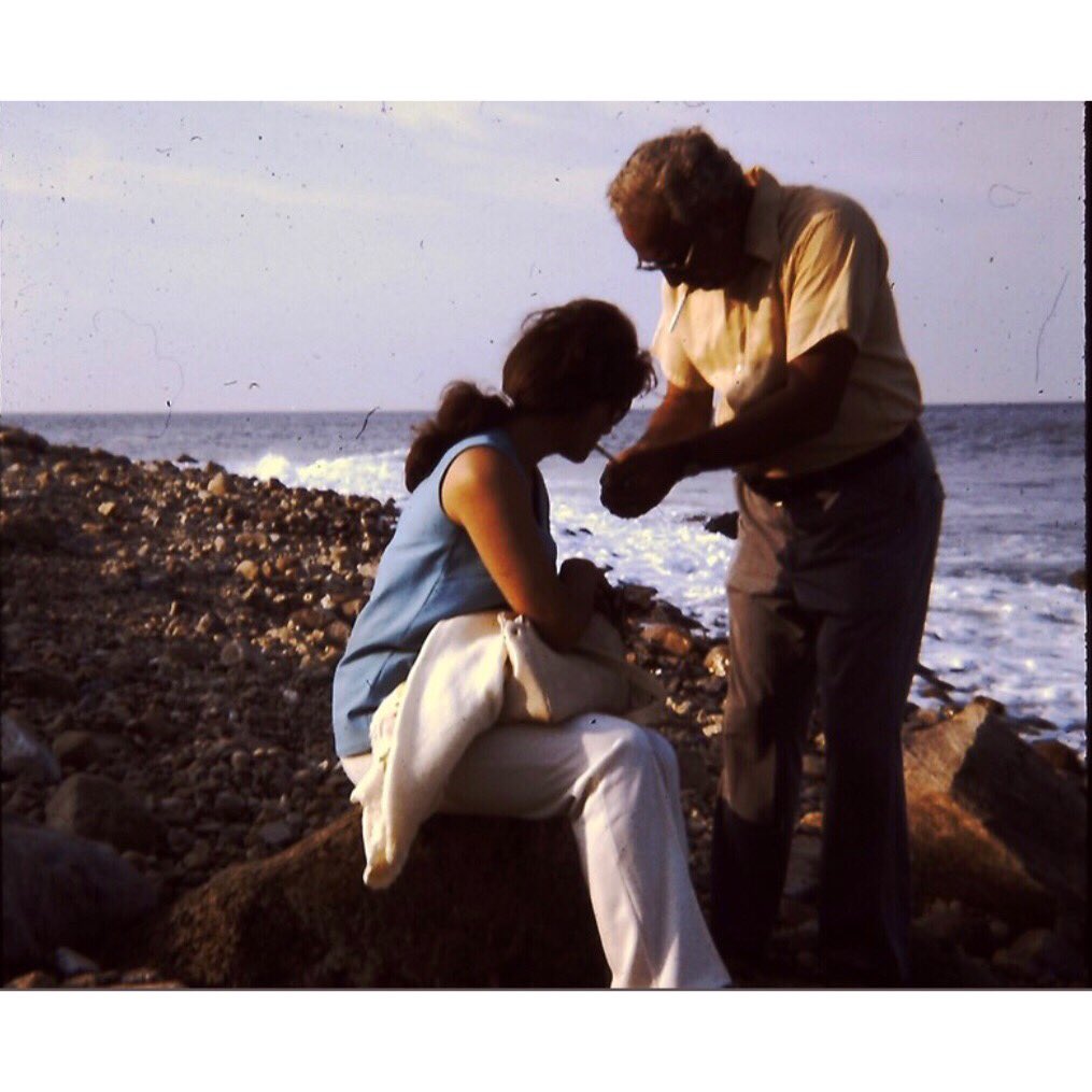 cosmic_roach's tweet image. They’re together again 💕