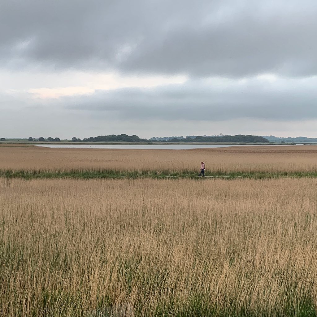 aheyarts's tweet photo. Amazing @snapemaltings day - celebrating and reflecting on the great @BBCRadio3 partnership with #aldeburghfestival with @armslengthal and #rogerwright - also recording the debut concert with the Knussen orchestra in memory of Oliver Knussen. https://t.co/CreyKXVkMp