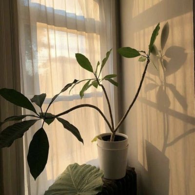 3jstt's tweet photo. #صورة_جديدة_للملف_الشخصي https://t.co/xoGajR3ktJ