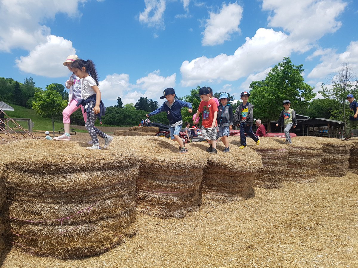 More Springridge Farm pics from our Grade 1 trip!