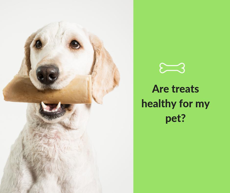 PetWorld_CO's tweet image. Natural and limited ingredient treats are great to have when you want to reward your pet without packing on the pounds. How often do you give your pets a treat? #TreatTips #TastyTips #PetTips