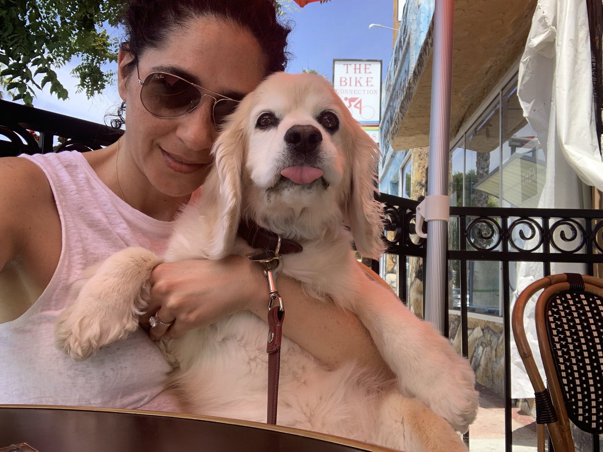 KatrinaMusic's tweet photo. Then we went to @petittroisla #LeValley for the best croissant+latte in town bc I’m a #ValleyGirl & we just had to sit outside & soak up the heat! ThankU Luis & Tia for making Trigger feel like a VIP. #VIP #VeryImportantPaws #LAGirl #LALife #Foodie #Croissant #Coffee #TheValley https://t.co/DvHoyX8Vz7