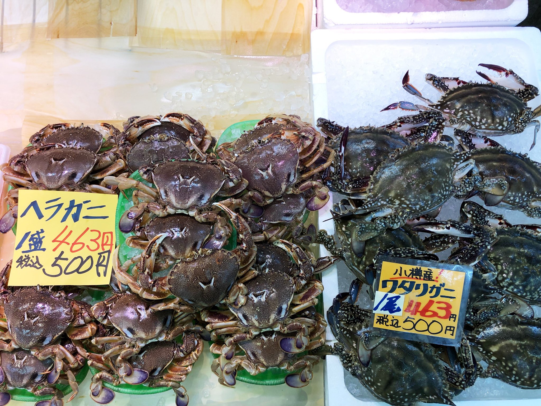 小樽 南樽 阿蘇鮮魚店 ヘラガニとワタリガニが同時に入荷しました どちらもパスタや味噌汁に最高ですよ ヘラガニは大きめのサイズで3匹500円 ワタリガニは1匹500円です この機会に是非 小樽 南樽市場 阿蘇鮮魚店 ヘラガニ ヒラツメガニ