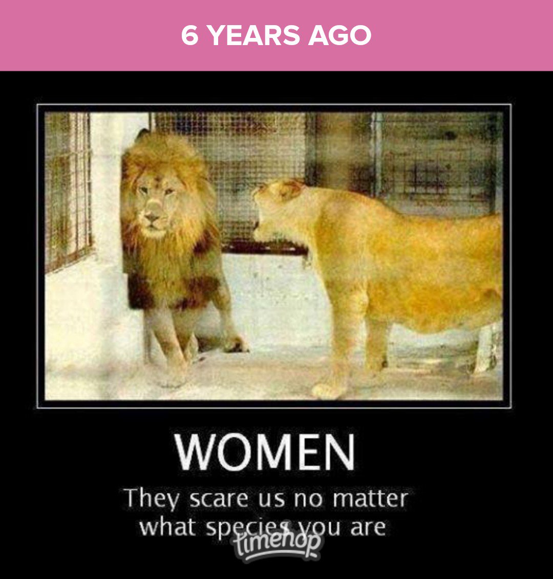 🤣🤣🤣