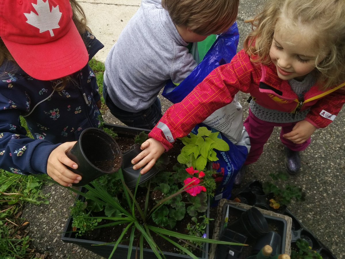 jennifer_mesar's tweet photo. The other day, we planted some beautiful flowers in our school's front garden! @NewDundeePublic  thanks to the garden fairies who cleaned out the weeds! #ecokids #SchoolGarden @UrquhartVal https://t.co/6PS1Clc2Tk