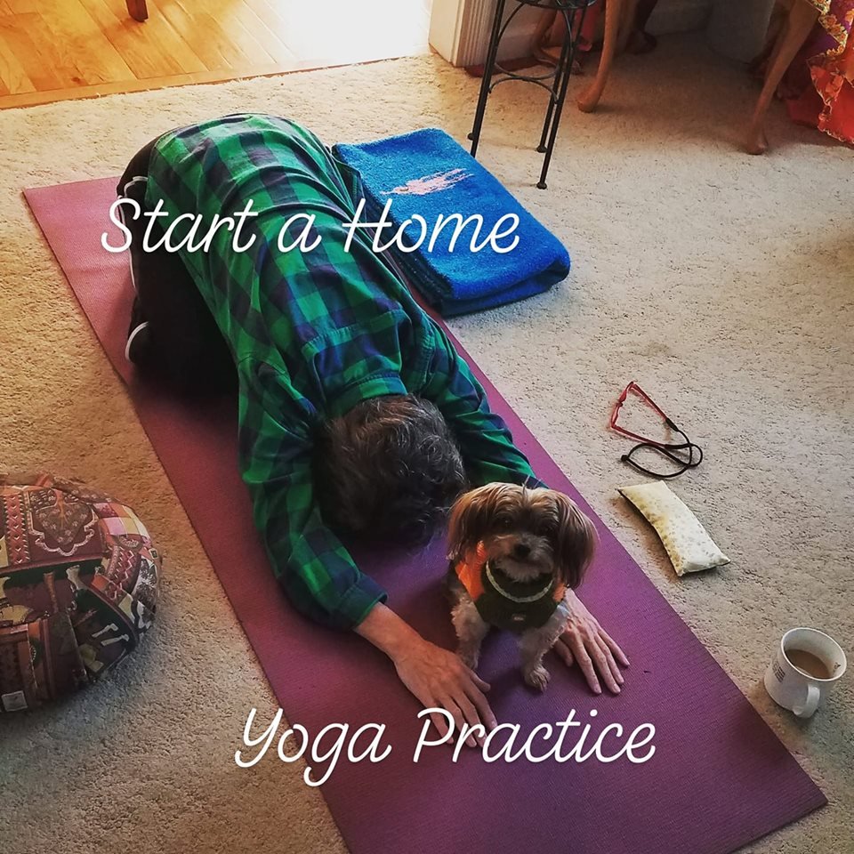 JulieChristy16's tweet photo. Start your home yoga practice today! Your body, mind, and spirit will THANK YOU! #yogarocks #yogaforwellness #homeyogapractice #yogaathome https://t.co/EiM4CNlUd1 https://t.co/c8efmTEY1h