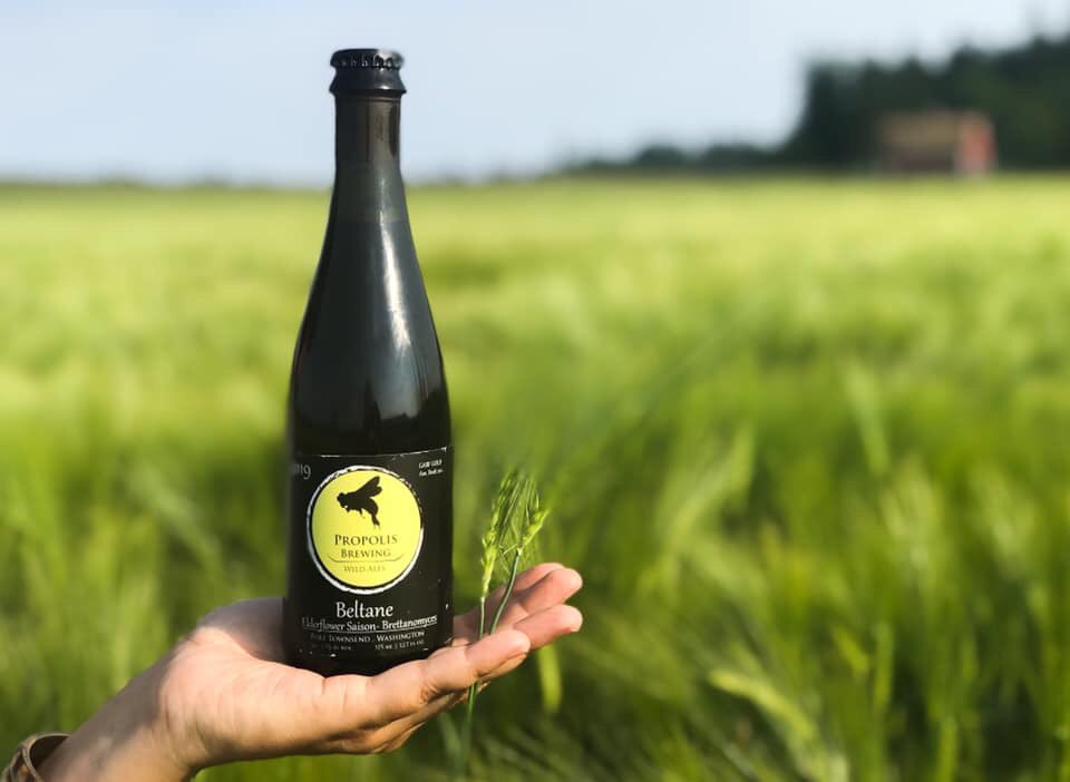 We are dedicated to crafting wild ales of the highest quality to support and care for our organic farmers and our community. We utilize 100% Organic grain, malt, fruits, and herbs, and bottle and cork in glass for superior taste and excellent aging. #propolisbrewing #drinkwabeer