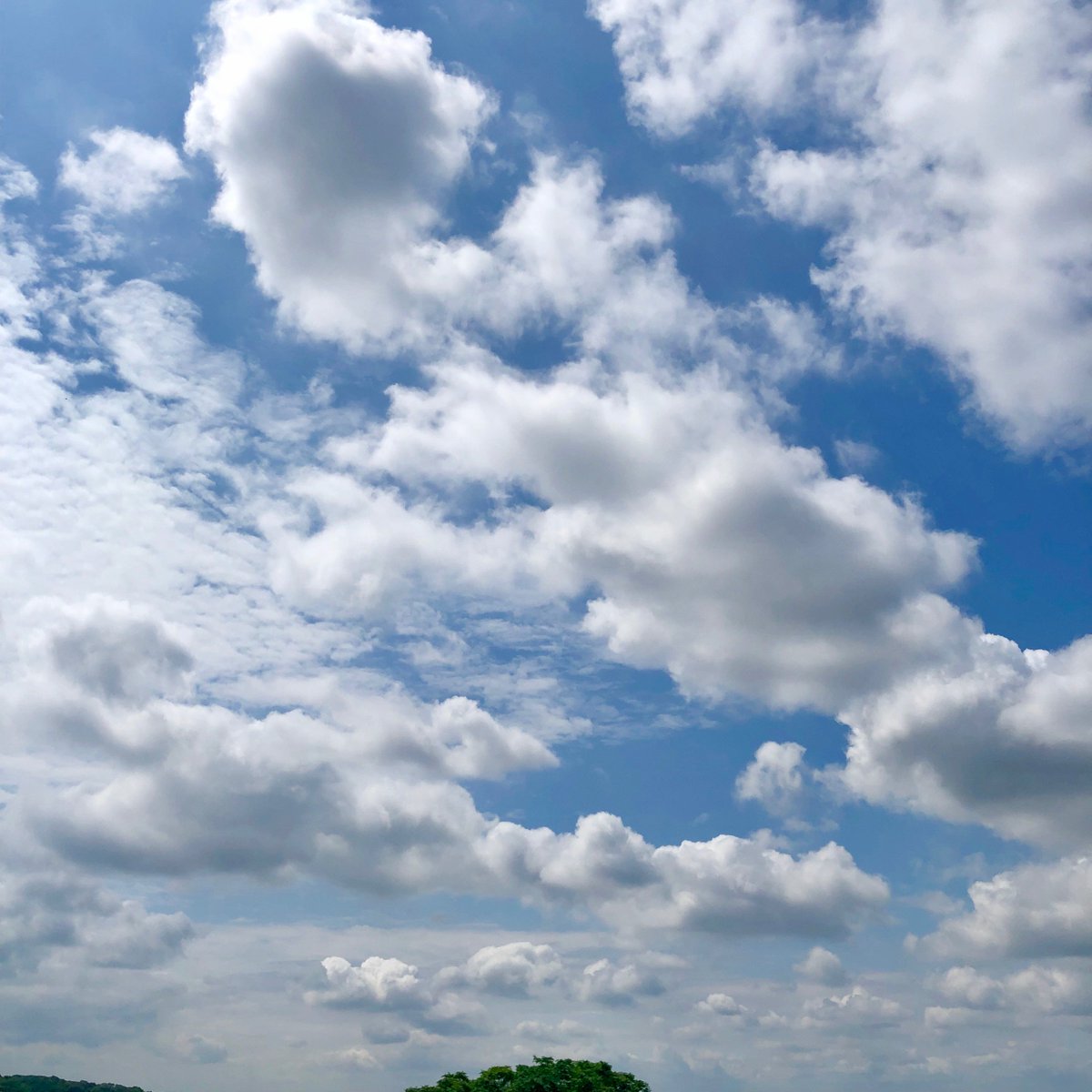 Kajisun A Twitter 今日の空 名言 すべてを失うリスクを負っても 何かを信じろ Believe In Something Even If You Lose Everything ー ナイキのキャンペーンコピー