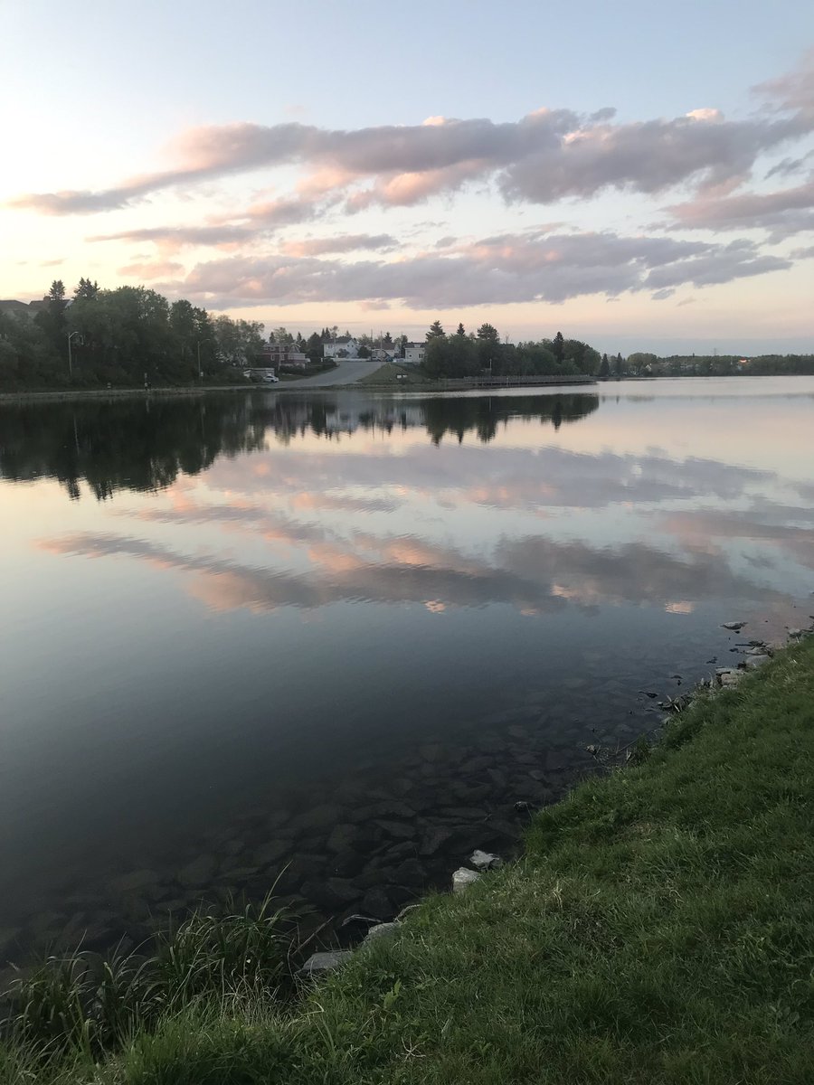 KeithaRobson's tweet photo. I would like to thank the 5000 mosquitos and black flies who helped me speed up my walk tonight. #wrongtimeofday #wrongtimeofyear #gillieswasstillpretty https://t.co/3TUVXRqmOJ