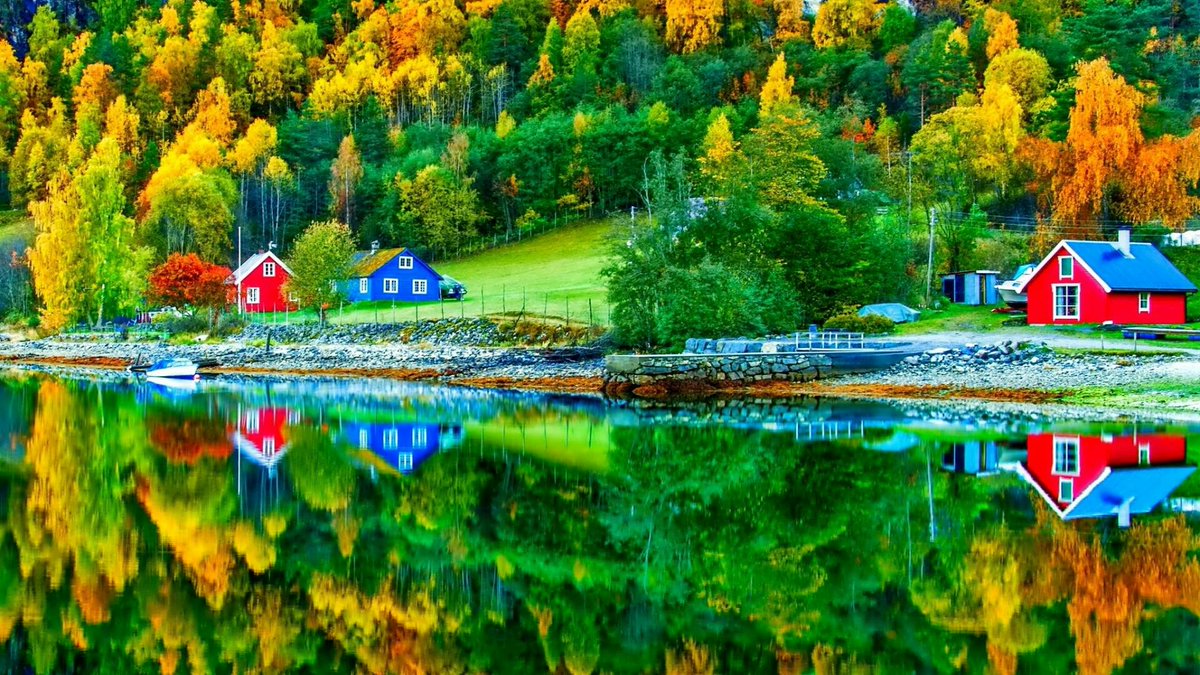 DixieBusiness4U's tweet photo. Follow everyone who likes and retweets this ๐๐๐
#DixieBusiness4U #TEAMSTALLION #TeamFollowHelp #1DDrive #Empire1Drive #PitBullEmpire #GainWithTrevor #GainMutuals #FollowTrick #Decorartehogar #Khan #ItsFamousJoe #WorldWideFollowHelp https://t.co/mcslVUFfIc