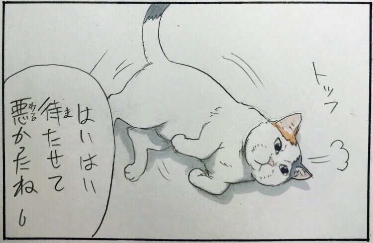 『すぐ来てあげない』 