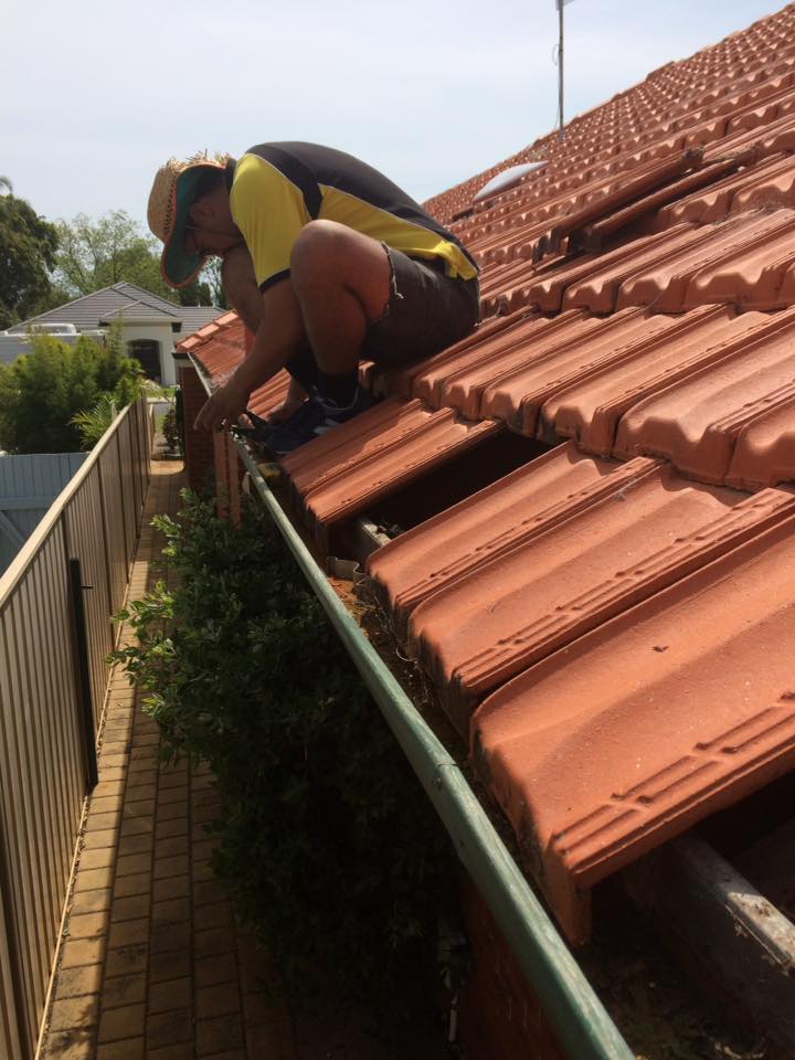 ezytradeAUS's tweet photo. We are a family run business that has been providing a reliable and professional service for the past ten years. Our services include window cleaning, gutter cleaning, and gutter guard installation. In addition to 
this we replace gutters, downpipes and do roof repairs. https://t.co/ApNkjCDcZZ