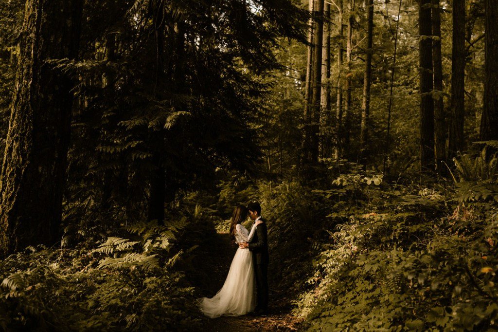 TMinspired's tweet image. PNW Forest Elopement | Olympia, WA tminspired.com/pnw-forest-elo…