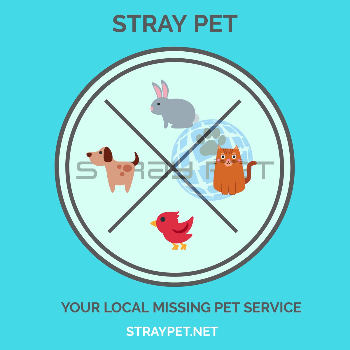 StraypetM's tweet image. #Minneapolis #Minnesota #dogs #straypet #lostdog #MissingDog #stpaul