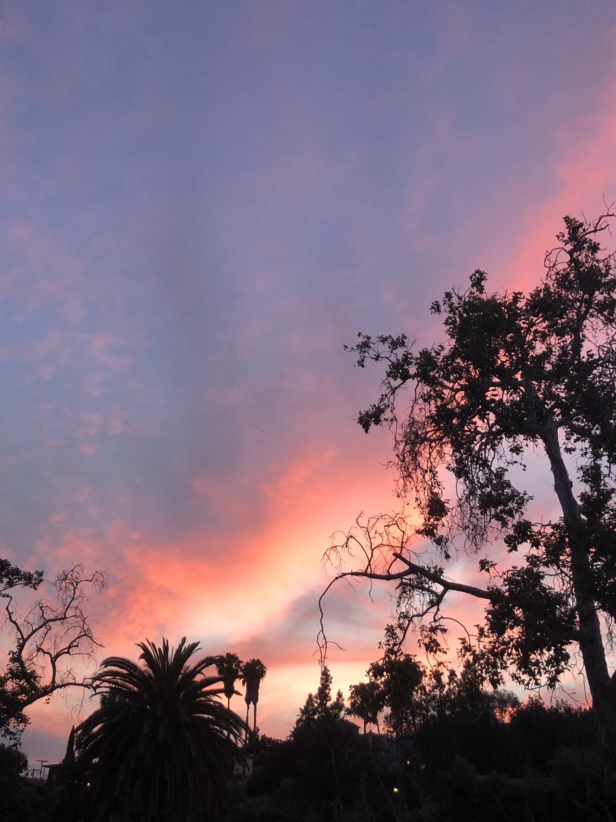 MoniqueMuniz1's tweet photo. A red sky here at the trails. #xcountrypractice #gettingseasonready https://t.co/7InFJO9bcY