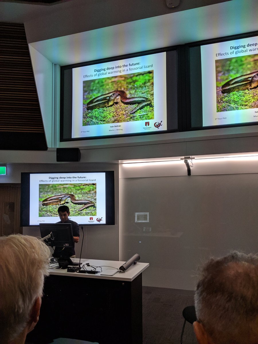 MotherOfRays's tweet image. And yet another great session at this year&apos;s @MQBiology HDR conference! Talks from #flatworms to #mantarays to #lizards from @Manta_Rob, Jorge Rodriguez Monter, @IvanBeltran31 and Ko-Huan Lee. 👏👏👏