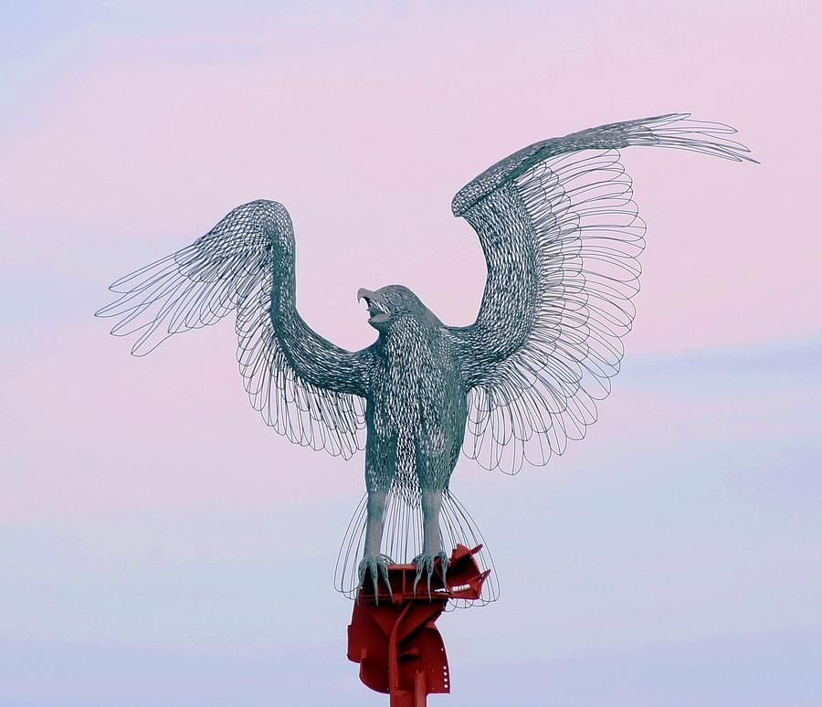 ibgbeauty's tweet image. Osprey Memorial by Karen Silvestri buff.ly/2rzWSPb #sculpture #steelcable #osprey #photography #photooftheday