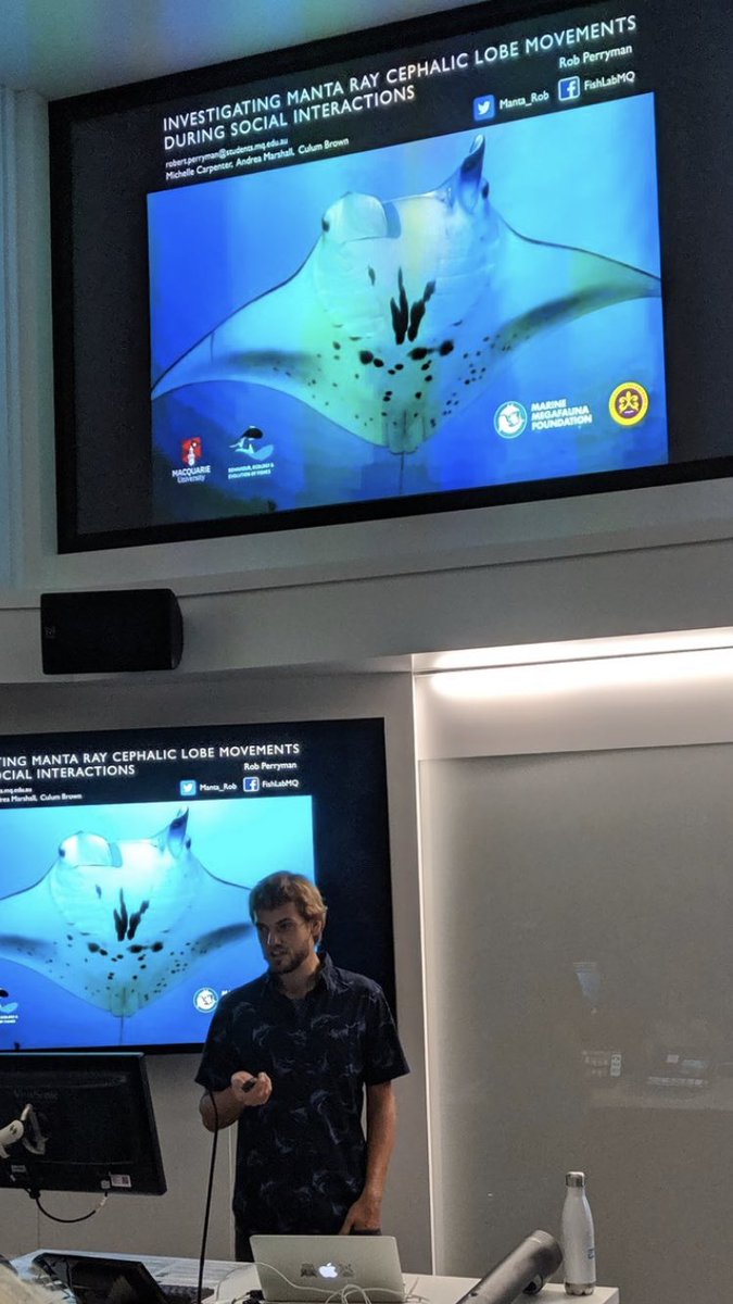 Presenting my research on manta ray cephalic lobe movements at the @MQBiology student conference today!
<a href="/FishLab_MQ/">The Fish Lab MQ</a>
<a href="/MarineMegafauna/">Marine Megafauna Foundation</a>
#marinescience 
#marineresearch
