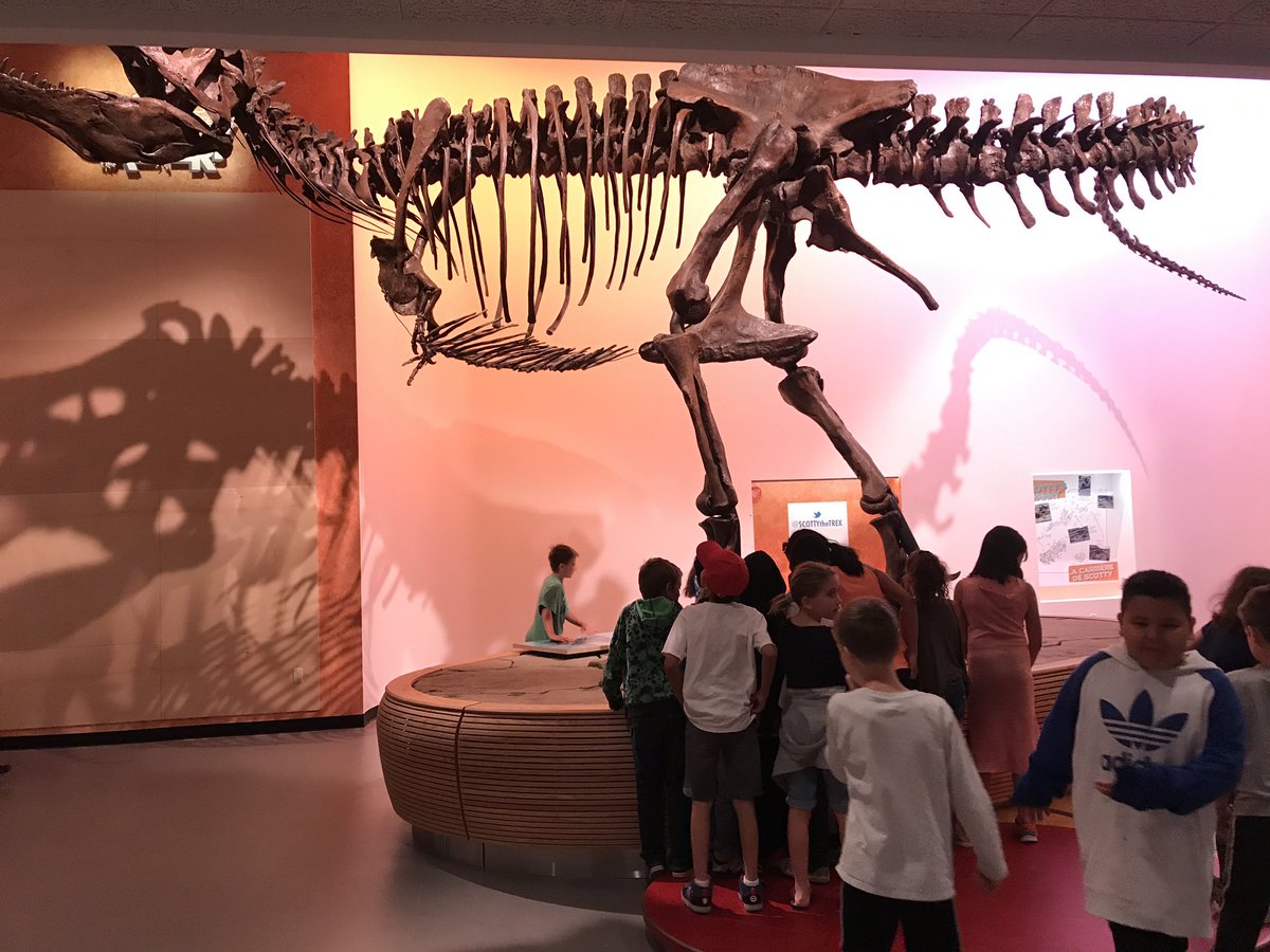 MissVancise's tweet photo. We had an epic morning with Scotty! Thanks @royalsaskmuseum 🦖! #rsm https://t.co/n1ckHxlXxG