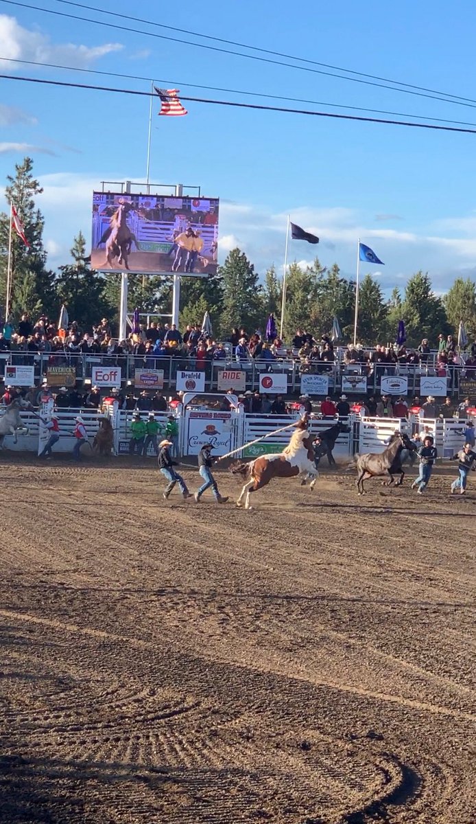 DavidGregoryTM1's tweet photo. Started June with a few good runs at The Biggest Little Show In The World. Sisters is by far one of my favorite Rodeos to compete. They treat their contestants well. Thank you! @JJHarrison12 @PapeCAT @ErnstIrrigation right out @stpaulprcarodeo chute 7 for the win. @mattcohenphoto https://t.co/Qod7aiDhkp