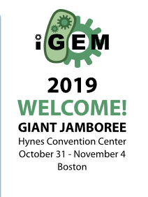 Emma Pettengale (@emmapettengale) on Twitter photo The <a href="/iGEM/">iGEM Headquarters</a> competition represents an exciting opportunity for students to experience 1st-hand the potential of #syntheticbiology approaches to solve real-world problems! Some of the <a href="/imperialigem/">iGEM Imperial</a> team talk about their experiences in <a href="/The_Biochemist/">The Biochemist</a> buff.ly/2F2LHWX The <a href="/iGEM/">iGEM Headquarters</a> competition represents an exciting opportunity for students to experience 1st-hand the potential of #syntheticbiology approaches to solve real-world problems! Some of the <a href="/imperialigem/">iGEM Imperial</a> team talk about their experiences in <a href="/The_Biochemist/">The Biochemist</a> buff.ly/2F2LHWX