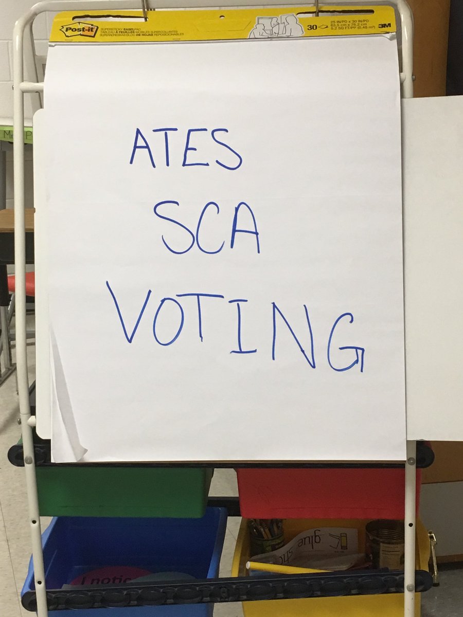 The_Terrace_ES's tweet photo. Our students exercised their right to vote!! #CougarPride https://t.co/ViZzwX8fen