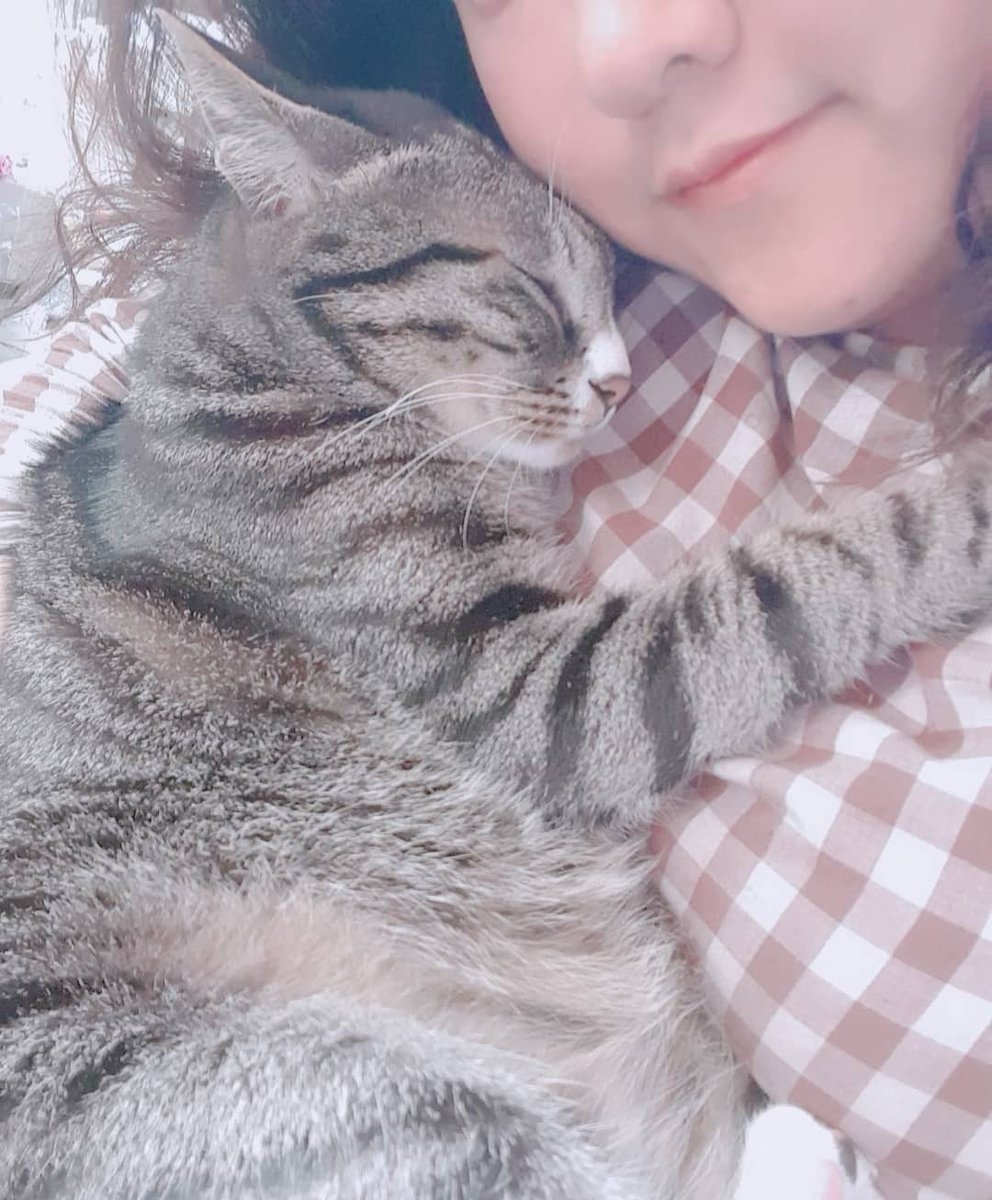 안아 키웠더니 품냥이가 된 랑이도령..
고양이 기운이 솟아나요!