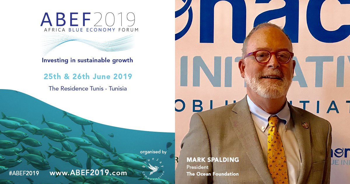 bluejaycom's tweet photo. How can we better protect Africa's maritime resources? Join @MarkJSpalding, President of @oceanfdn at #ABEF2019 for an interesting panel discussion on Ocean governance &amp; security.
To register > https://t.co/FMucNfcnAx
#BlueEconomy #Oceans #Africa https://t.co/5Pt7kNAnTe