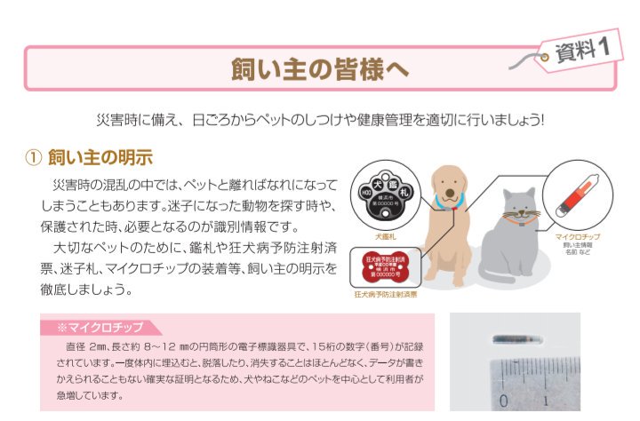 迷子犬をマイクロチップでの探し方どうやる Gps追跡や居場所検索できる 今週のペルル店長