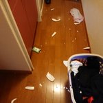 事故物件…？こんな部屋怖すぎて住めない…