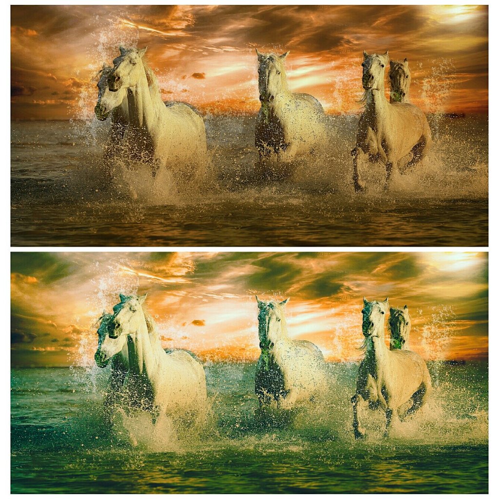 SortPixXl's tweet photo. You edit your photo and want to remove duplicate photo SortPixXL is the right choice for you. It is free to download and very easy to use.
https://t.co/JyYRcutXem
#removephoto #duplicate #duplicatephotos #managephotos #photomanager #photoedits #photo #photos #photoedit #photogr https://t.co/XW7wgfgitW