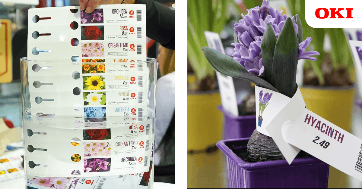 OKI_MEITA_'s tweet photo. Create impactful, highly visual plant labels to make your plants stand out in your Garden Centre to help customers select their purchases quickly thanks to OKI's Retail Signage Solutions: https://t.co/fqHrhCqtSN
#OKI #OKIPrinters #SignagePrinter #RetailPrinting #WaterproofLabels https://t.co/mNcgVbi4Qm