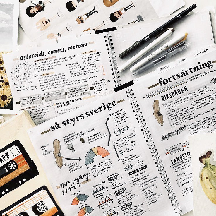 _Need4Study_'s tweet image. How old are you? 📼🍌 some more notes!

need4study.com

#need4study #Modern #study #education #professional