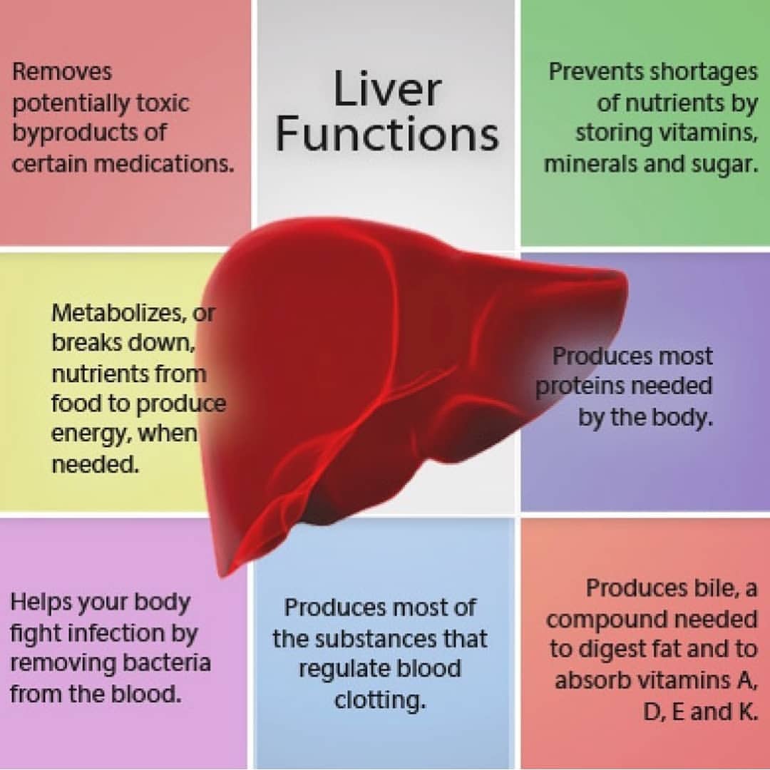 Recite Blinke Tilståelse Eetplan Idees on Twitter: "The #liver is the heaviest #organ in the human body. It weighs 1.4kg and filters our blood to separate #nutrients from toxins. Eat unhealthy fats, alcohol, starch and Recite Blinke Tilståelse Eetplan Idees on Twitter: "The #liver is the heaviest #organ in the human body. It weighs 1.4kg and filters our blood to separate #nutrients from toxins. Eat unhealthy fats, alcohol, starch and