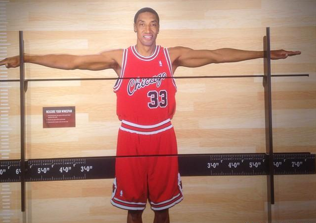 皮本的個人天賦有多出色？臂展超越詹姆斯，彈跳不輸「飛人」喬丹！-黑特籃球-NBA新聞影音圖片分享社區