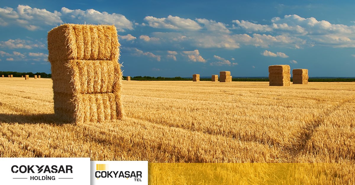 cokyasarholding's tweet photo. Balyalama telleri gibi farklı ürün gruplarında yılların vermiş olduğu deneyimimiz ile üretmeye devam ediyoruz. #cokyasarholding #yaglibalyateli #wire https://t.co/ndyJQfIAFW