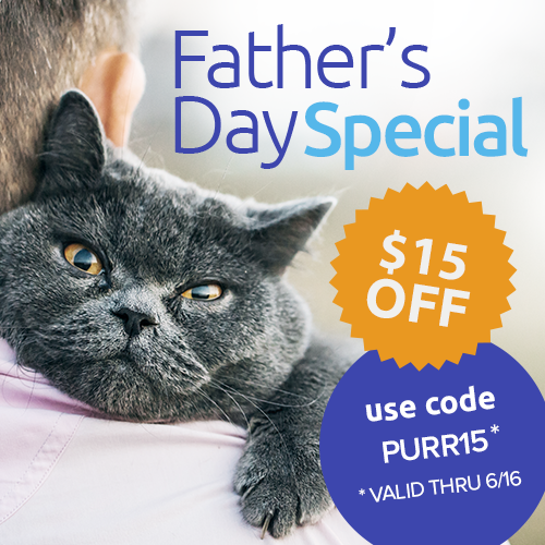 purringtonpost's tweet photo. Find out what your cat's DNA can tell you about their breed, and ultimately their health and habits. One simple DNA test, a lifetime of discovery. Father's Day Special $15 OFF with code PURR15 but ONLY until June 16th. Order now => https://t.co/fnifJOCv0b https://t.co/Vw38y4OHIu