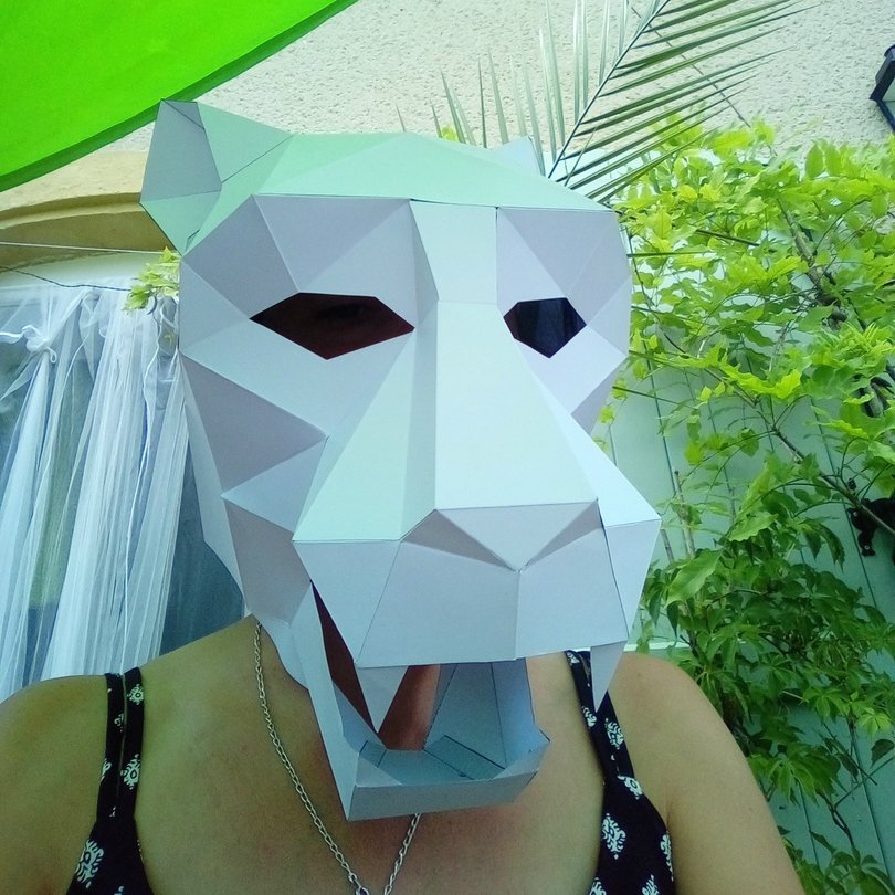 "I had a great time building this one! I made 5 examples for kids!" - Laurence L.

#Wintercroft #Jaguar #PaperCraft #LowPoly #Review #KidsActivity #Cosplay #VectorMask #MascarasPoligonales #MascarasGeometricas #MascarasPapercraft #MascarasDePapel3d #VectorMask #Topeng #Mаска