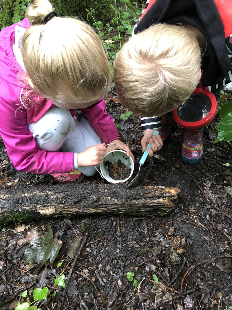 StAidansRecpt's tweet photo. A wet and muddy Forest School session, there was lots of bugs about though!! 🕷🐜🐛 https://t.co/XBvDHP18vE