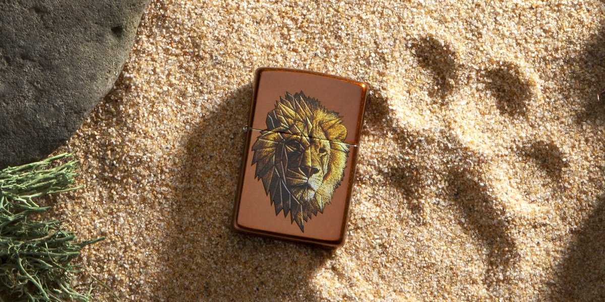 🦁👑 ow.ly/Tzwn50uwCCx