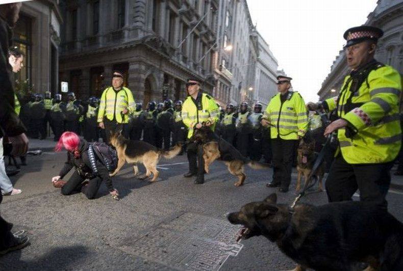 Сходить вчера. Англия разгон демонстрантов. Разгон демонстрации в Англии. Собаки в Лондоне. Полиция разгон демонстрантов.