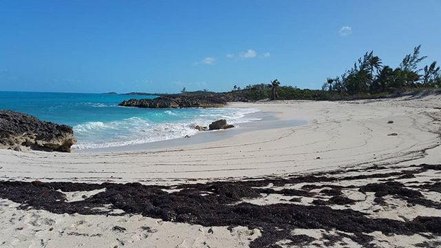 CanuckPalms's tweet photo. .
Beach all to yourself 🌴☉
.
@canuckpalms
.
.
.
.
.
#beach #littleexuma #Bahamas #holiday #vacation #wanderlust #smimsuit #swimmingpigs #instatravel #airbnb #exumas #exuma #exumablue #beachbum #islands #airbnb #certificateofexcellence #littleexuma #vacationrental #goals #oce… https://t.co/DfjIm9hTz0