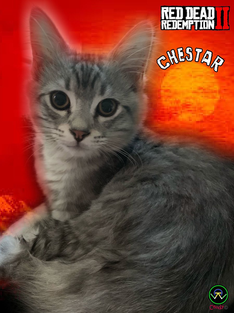 Candysseus's tweet photo. The Real Pussy #Chestar #EatMyPosse 🍭#MissCandyLicious #RedDeadRedemption2 #RockstarGames https://t.co/alGkdu4zea