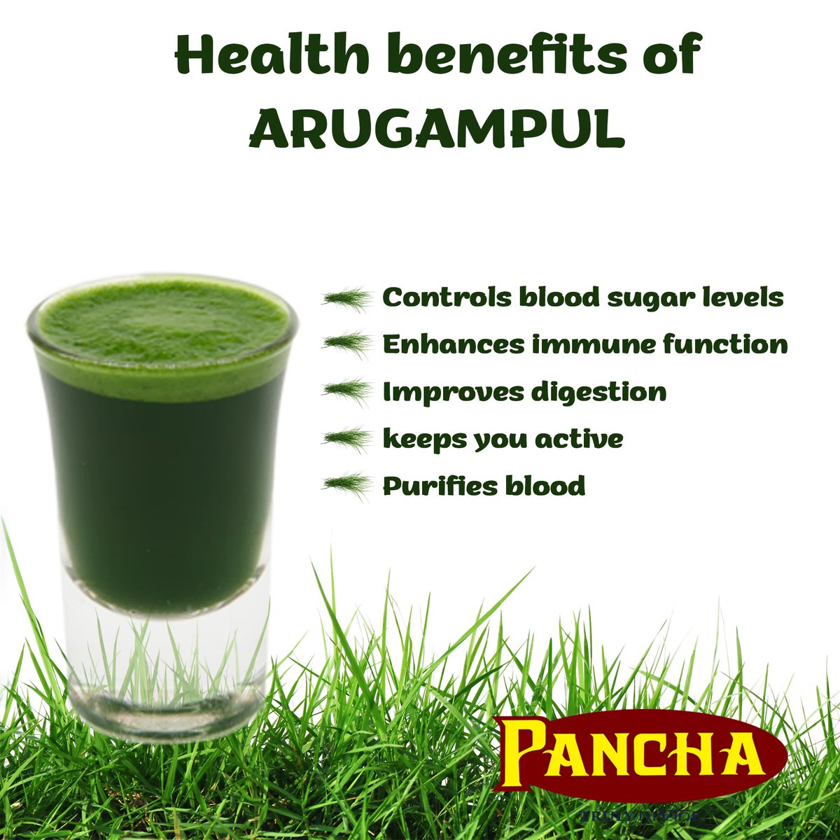 We are all offer Arugampul to loard Ganesha during special prayers for him but how many of us know that Arugampul has many amazing health benefits?

#Arugampul #ArugampulJuice #Pancha #PanchaMalaysia
