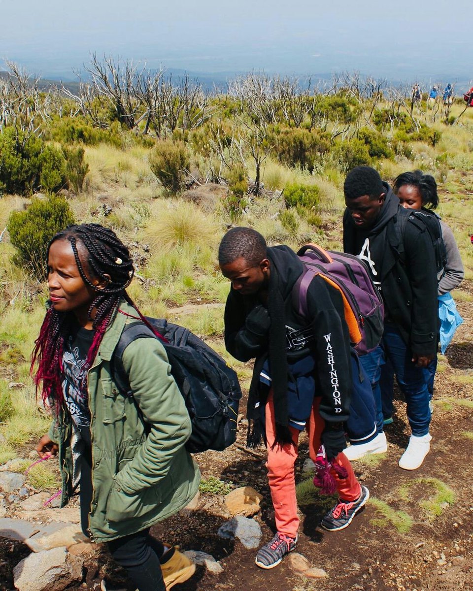 mountkenyatrust's tweet photo. "I was impressed by the terrain and the clean water and the sparse vegetation." - Daisy Moraa
#MtKenya #HikersHigh #OneDayHike #HikeKenya #WaterFall #TembeaKenya #mountkenya #hiking #KOT #mountainclimbing https://t.co/EBQ87qwADD